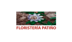 Floristería Patiño